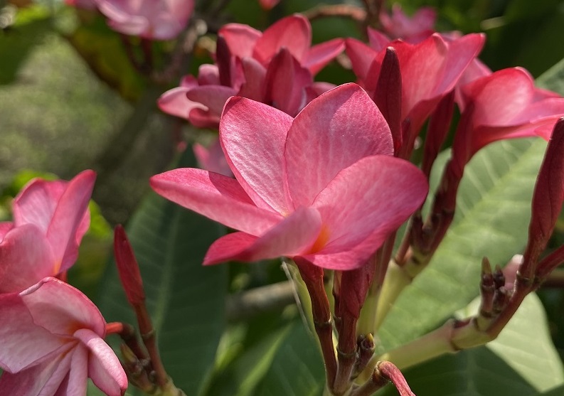 20220509_171628035_iOS